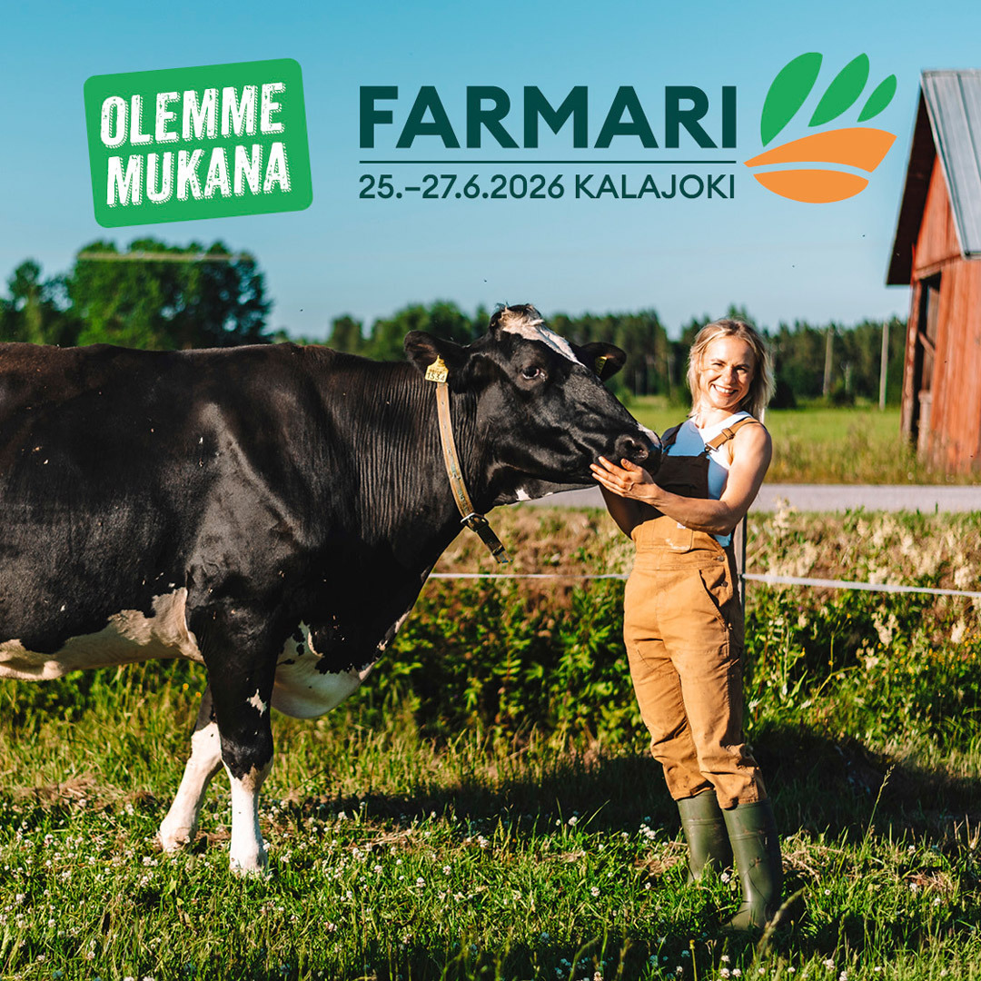 Olemme mukana lehmä 1080 x 1080