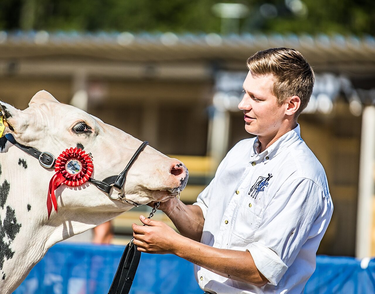 Lypsykarjanayttely farmari2000px