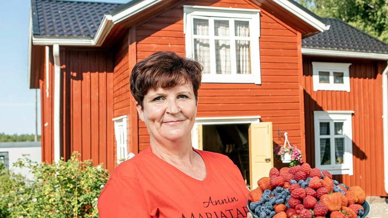 Annin marjatarha84 2