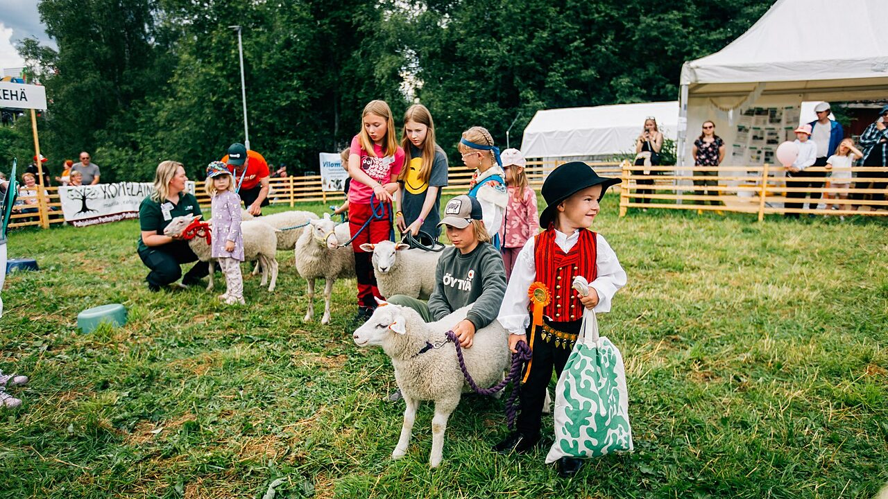 Karitsankesyttäjäkilpailun kisaajat