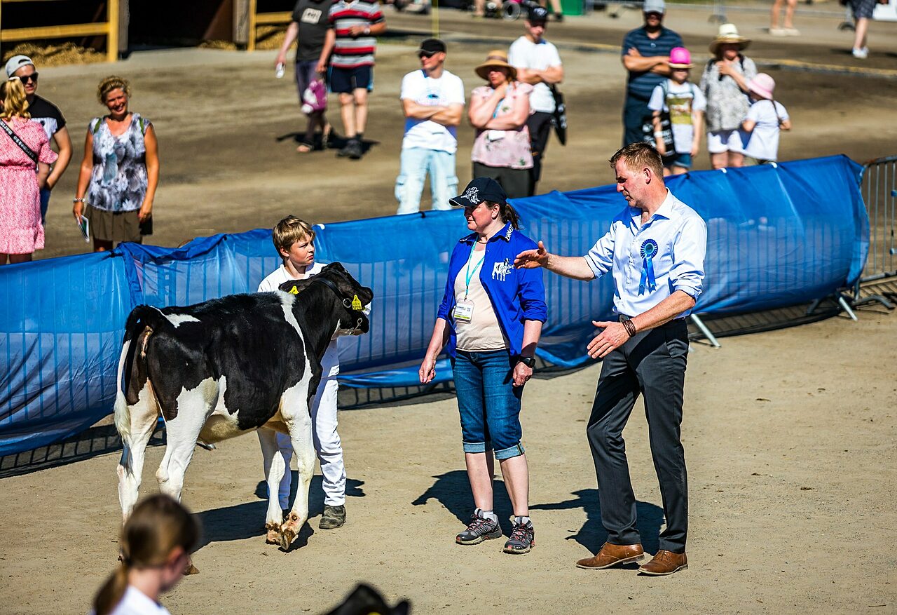 young breeders Farmari 2022