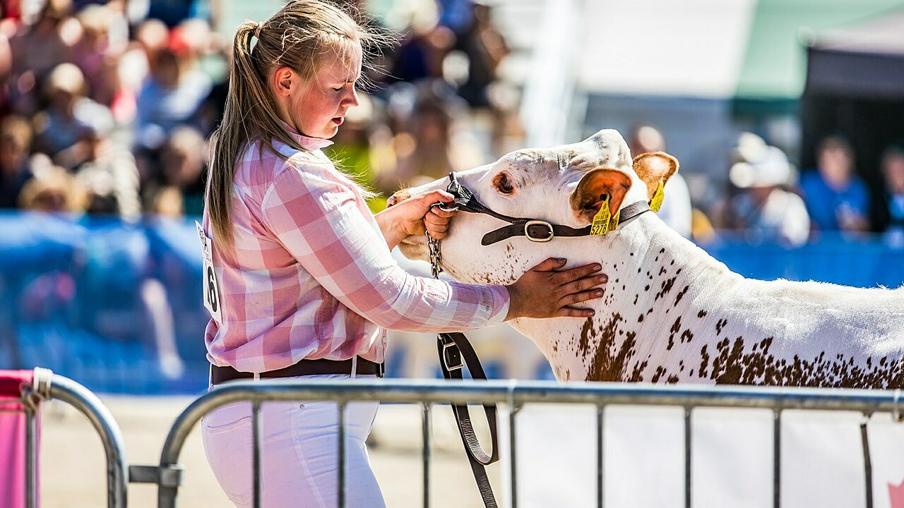 Suomenkarjaa Farmarissa