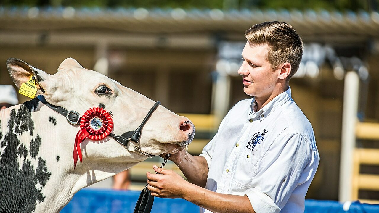 palkitsemisia farmari