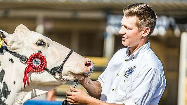 Lypsykarjanayttely farmari2000px